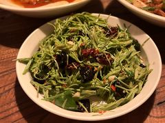 凉拌松针-兮禾酒馆(护国路店)