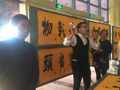 -灵玲国际马戏城