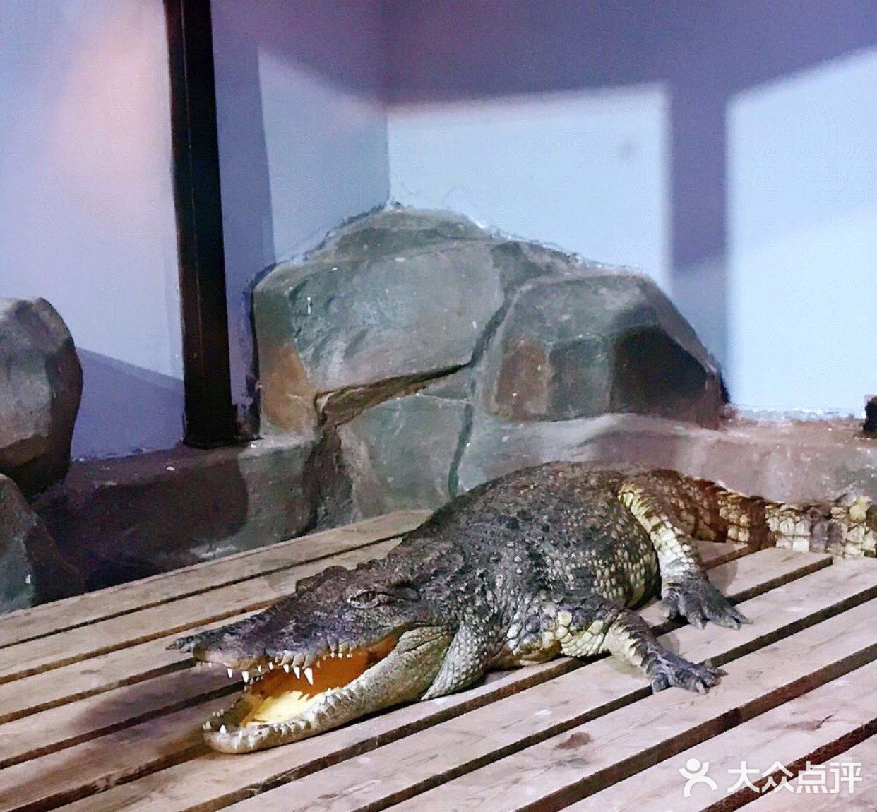 带上宝贝来室内动物园清凉过夏天吧