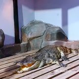 带上宝贝来室内动物园清凉过夏天吧