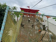 -厦门老院子景区