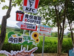 -光明小镇欢乐田园