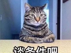 -方鼎食府粤菜酒楼•茶点•宴会