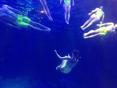 -华夏文旅海洋公园