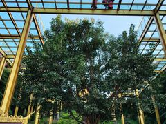 -西双版纳勐泐文化旅游区