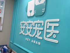 -安安宠医宠物医院·异宠·犬猫内科(岳阳分院)