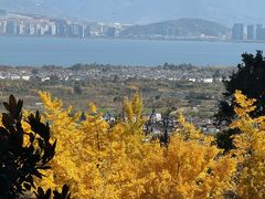 -大理实力希尔顿酒店•御玺中餐厅