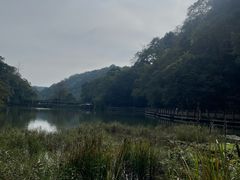 -青城山