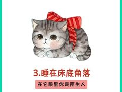-北京派仕佳德动物医院·超导核磁·CT·神经科·骨科·内外科·急重症管理中心