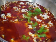 android_upload_pic-重庆乌鱼庄·龙滋鲜(青羊大道店)