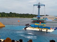 -秦皇岛乐岛海洋王国