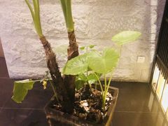 -水月·和牛工坊(水晶郦城店)