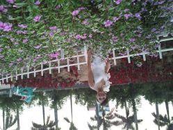 -现代经典婚纱摄影(光明北路尊荣总店)