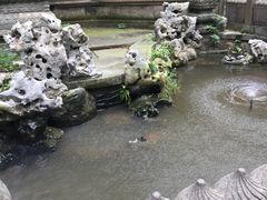 -普陀山风景名胜区-法雨禅寺