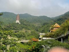 -深圳仙湖植物园