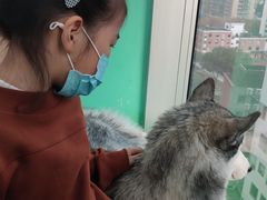 -Husky Go! 哈士奇体验馆·宠物咖啡厅狗咖