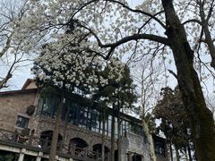 -莫干山风景区
