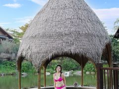 -美的鹭湖森林度假区