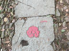 -西湖风景区十里琅珰-五云山