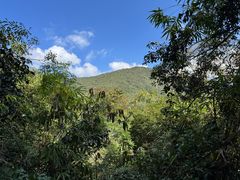 -霸王岭国家森林公园