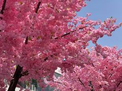 -东莞松山湖万象汇