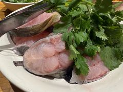 -老凯俚酸汤鱼(多彩城店)