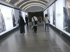 -大望路(地铁站)