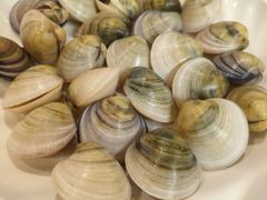 蛤蜊（斤）-吉友粥底火锅(方斜路店)