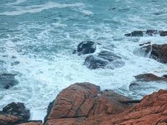 -广东惠东海龟国家级自然保护区