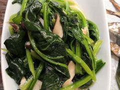 奶油菠菜-东京屋(武定路店)