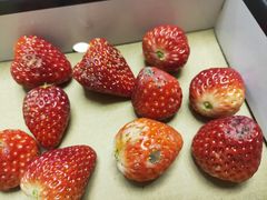 -鲜丰水果(双桂坊店)