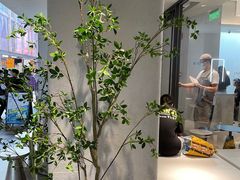 -喜茶(中山利和新地店)