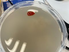 -左陕右甘(亚运村店)