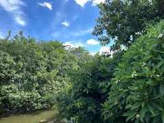 -白沙门生态公园