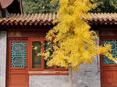 -海棠花溪(元大都城垣遗址公园)