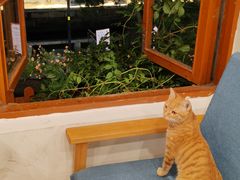 -猫的天空之城概念书店(苏州平江店)