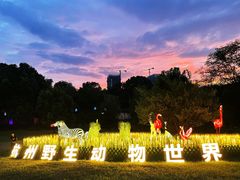 -杭州野生动物世界