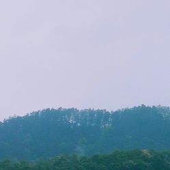 -凡碧诗毛孔收细