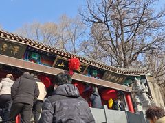 -高尔山公园