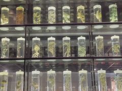 -广东中医药博物馆
