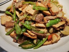 -佬肥猫(国华广场店)