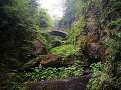 -天燕原始生态旅游区-天门垭景区