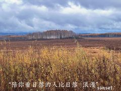 -汤旺河林海奇石景区