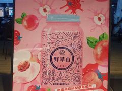 -野萃山·潮汕厚果汁(十亩地店)