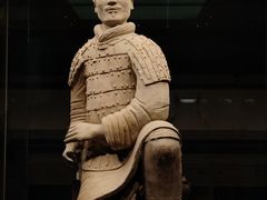 -秦始皇帝陵博物院-丽山园