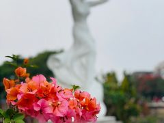 -中山公园