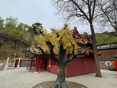-青岩寺风景区