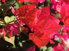 -亚马逊丛林水乐园