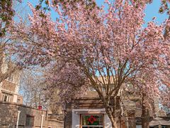 -天津五大道文化旅游区