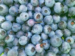 -金谷域澳洲庄园